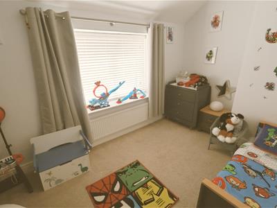 Picture 8